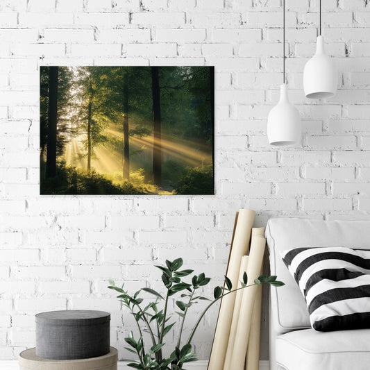 Drobės paveikslas sienai „Miško gamta ir medžiai“ miegamajam, svetainei ar virtuvei, 100 × 70 cm