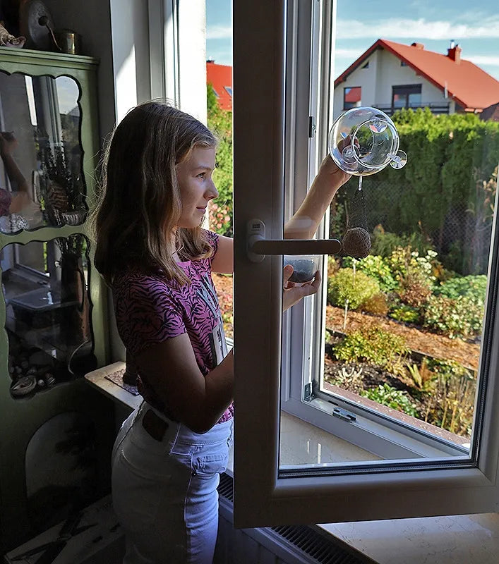 Edukacinė skaidri lesyklėlė paukščiams ant lango, didelis rinkinys