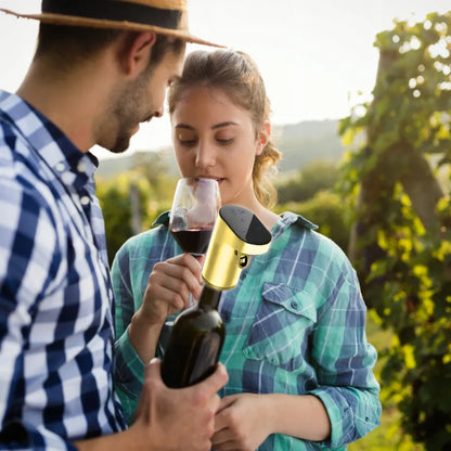 Elektrinis dozatorius viskiui, vynui, degtinei