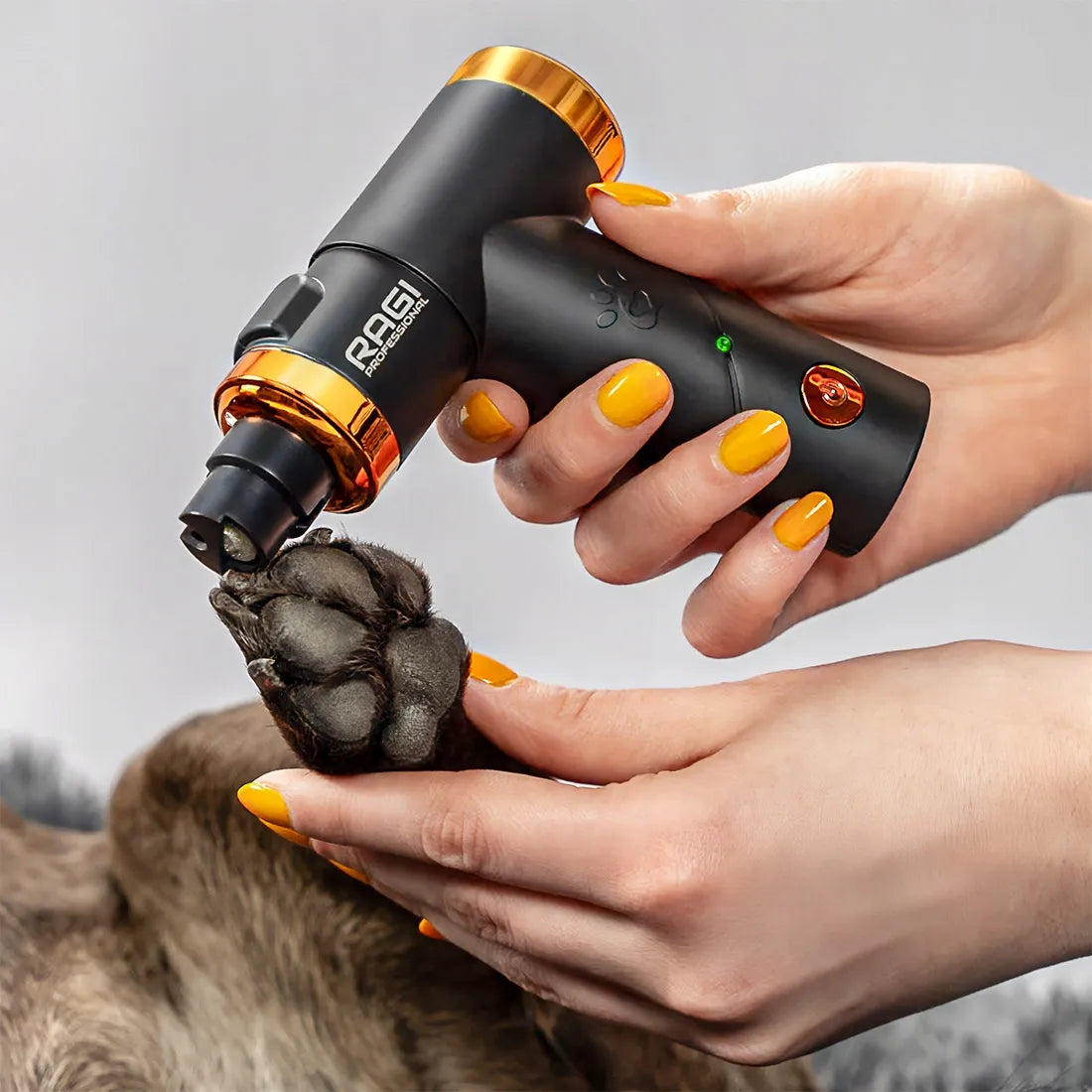Elektrinis nagų dildiklis šunims ir katėms Ragi, belaidis su LED apšvietimu ir 3 galvutėmis