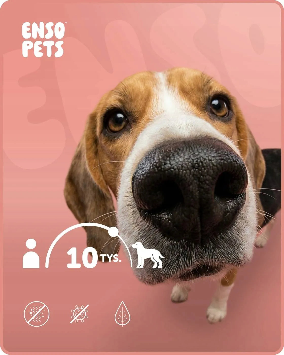 Enso Pets veliūrinė šunų lova L dydžio, minkšta ir patogi gultas-sofa