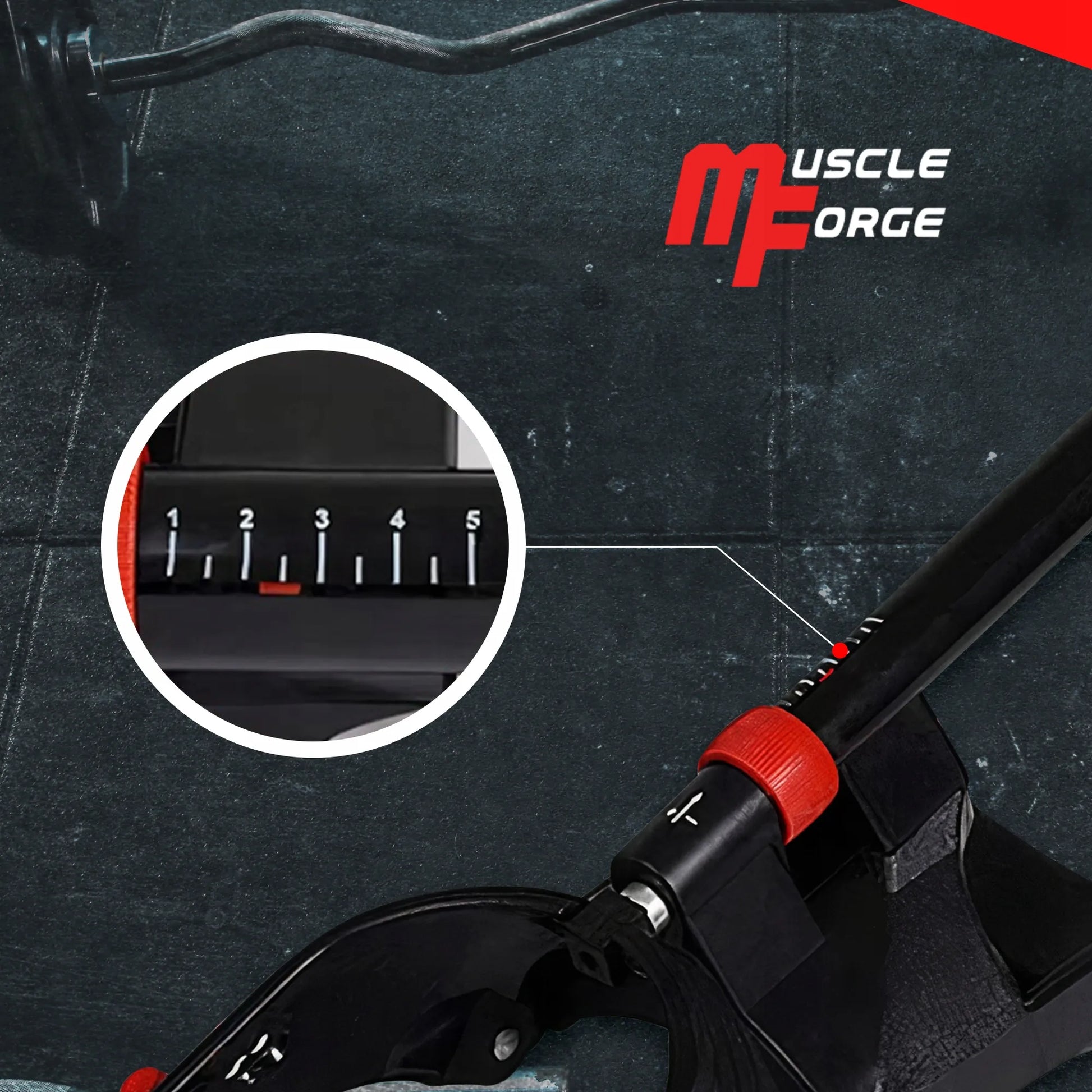 Dilbio ir sukibimo jėgos treniruoklis MuscleForge KF-65