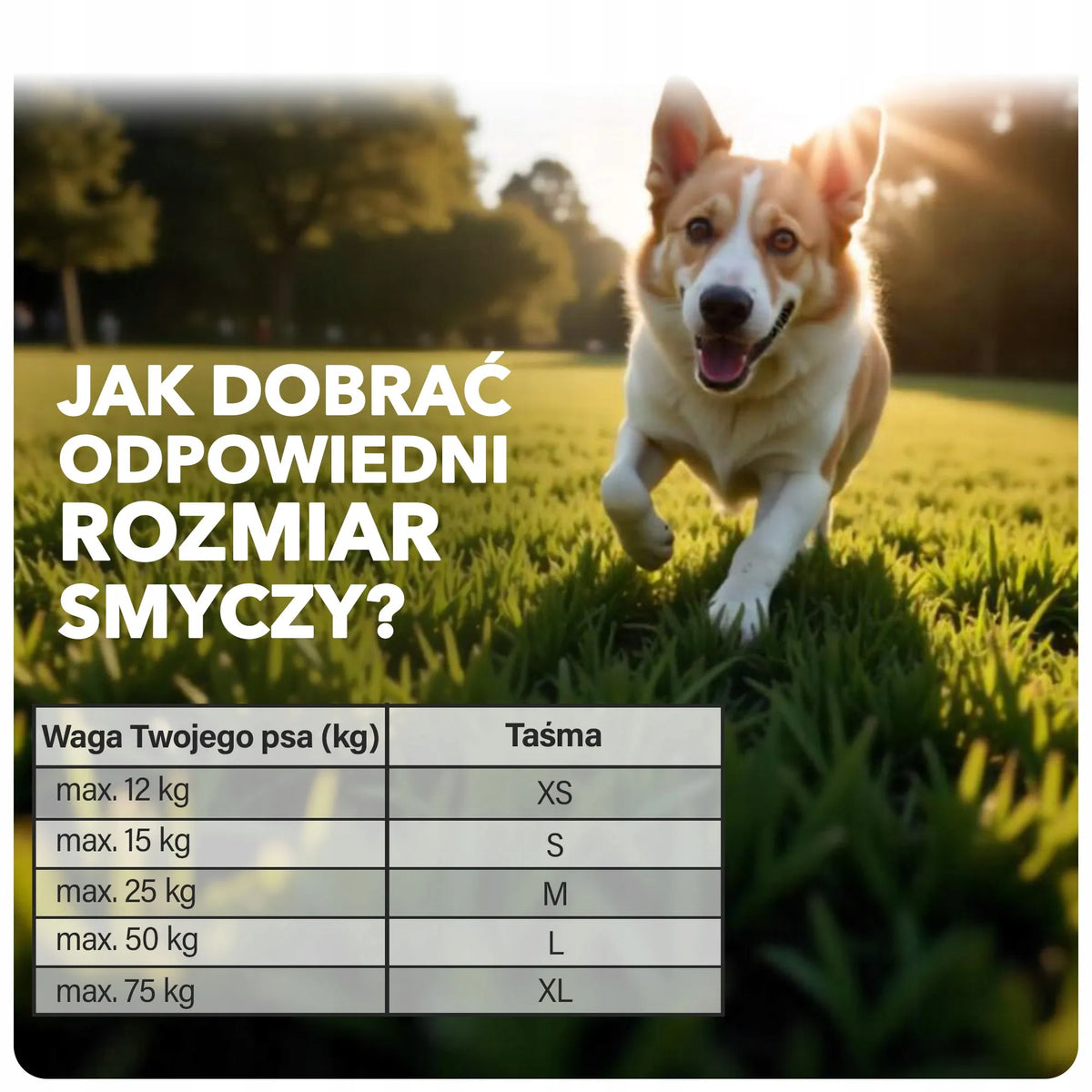 „Flexi New Classic“ automatinis juostinis pavadėlis šuniui, L, 8 m, iki 50 kg, juodas