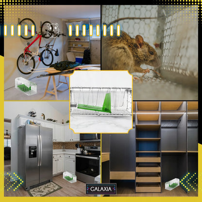 GALAXIA gyvų pelių gaudyklė, 2 vnt., humaniška