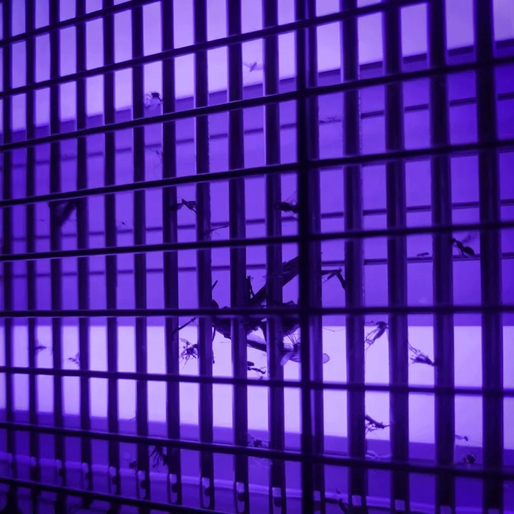 Galinga UV lempa vabzdžiams naikinti – nuo uodų, musių, kandžių, vapsvų ir mašalų