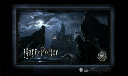 Hario Poterio dėlionė „Dementors at Hogwarts“ 1000 detalių