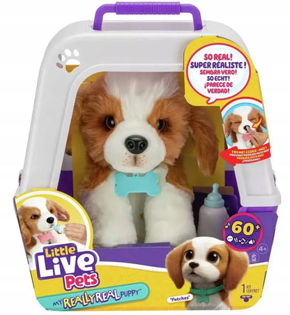 Interaktyvus šuniukas Little Live Pets