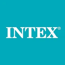 INTEX pripučiamas vaikiškas plaukimo čiužinys drakonas