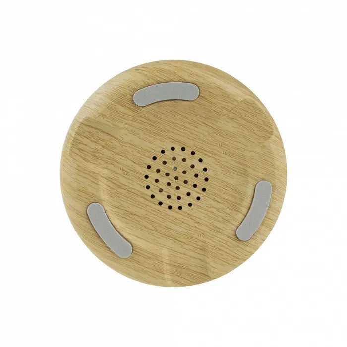 LED Naktinis Šviestuvas Tukan su Bluetooth