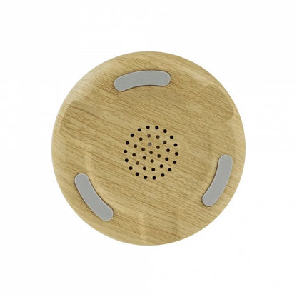 LED Naktinis Šviestuvas Tukan su Bluetooth