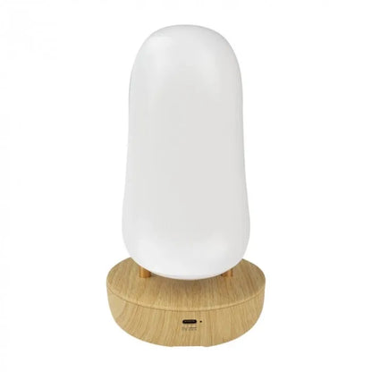 LED Naktinis Šviestuvas Tukan su Bluetooth