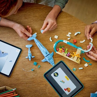 LEGO CREATOR Jūros gyvūnai: gražus delfinas 3 viename 31385
