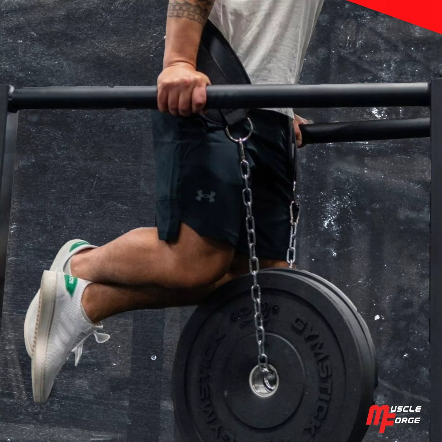 MuscleForge DIP BELT patvarus svorių diržas su grandine 240 kg