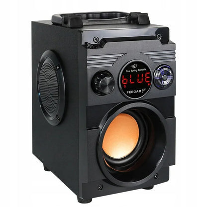 Nešiojamoji „Bluetooth“ kolonėlė Feegar ShowJet su karaoke mikrofonu, 3,5 mm AUX
