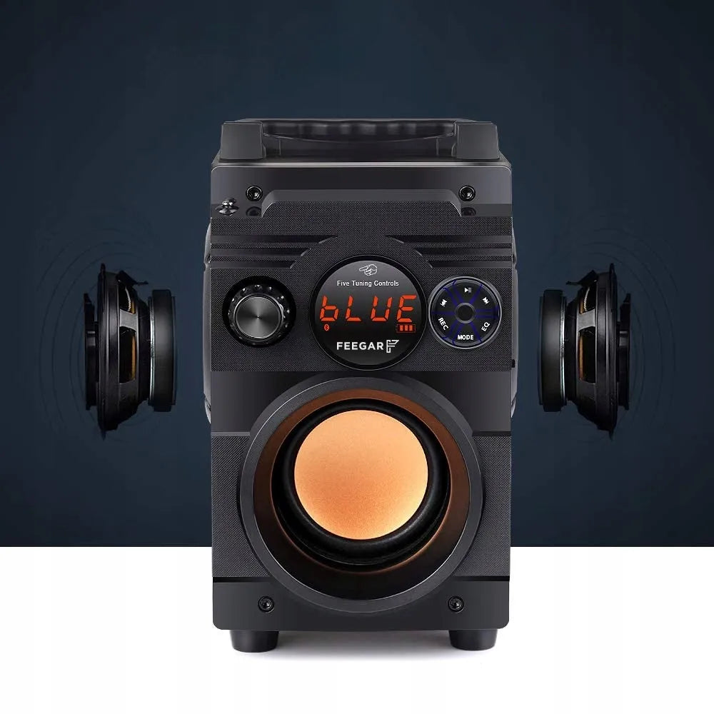 Nešiojamoji „Bluetooth“ kolonėlė Feegar ShowJet su karaoke mikrofonu, 3,5 mm AUX