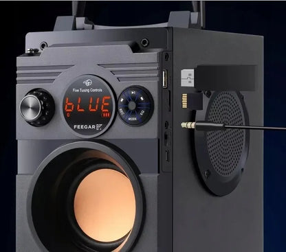 Nešiojamoji „Bluetooth“ kolonėlė Feegar ShowJet su karaoke mikrofonu, 3,5 mm AUX