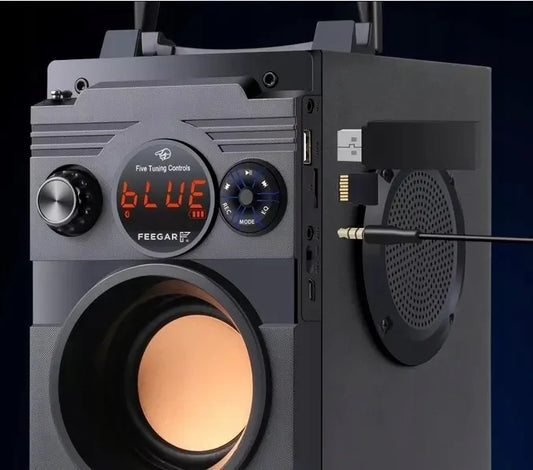 Nešiojamoji „Bluetooth“ kolonėlė Feegar ShowJet su karaoke mikrofonu, 3,5 mm AUX