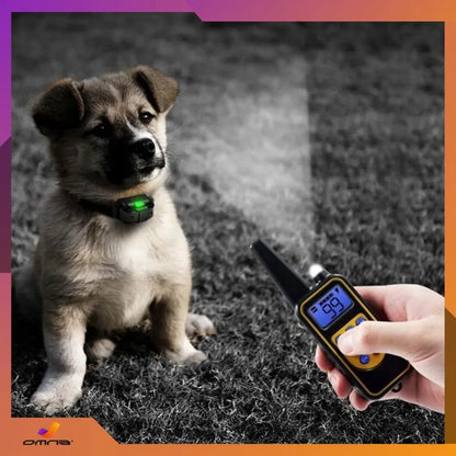 „Omna 800M“ elektrinis dresūros antkaklis šunims su pultu, mažiems ir dideliems šunims