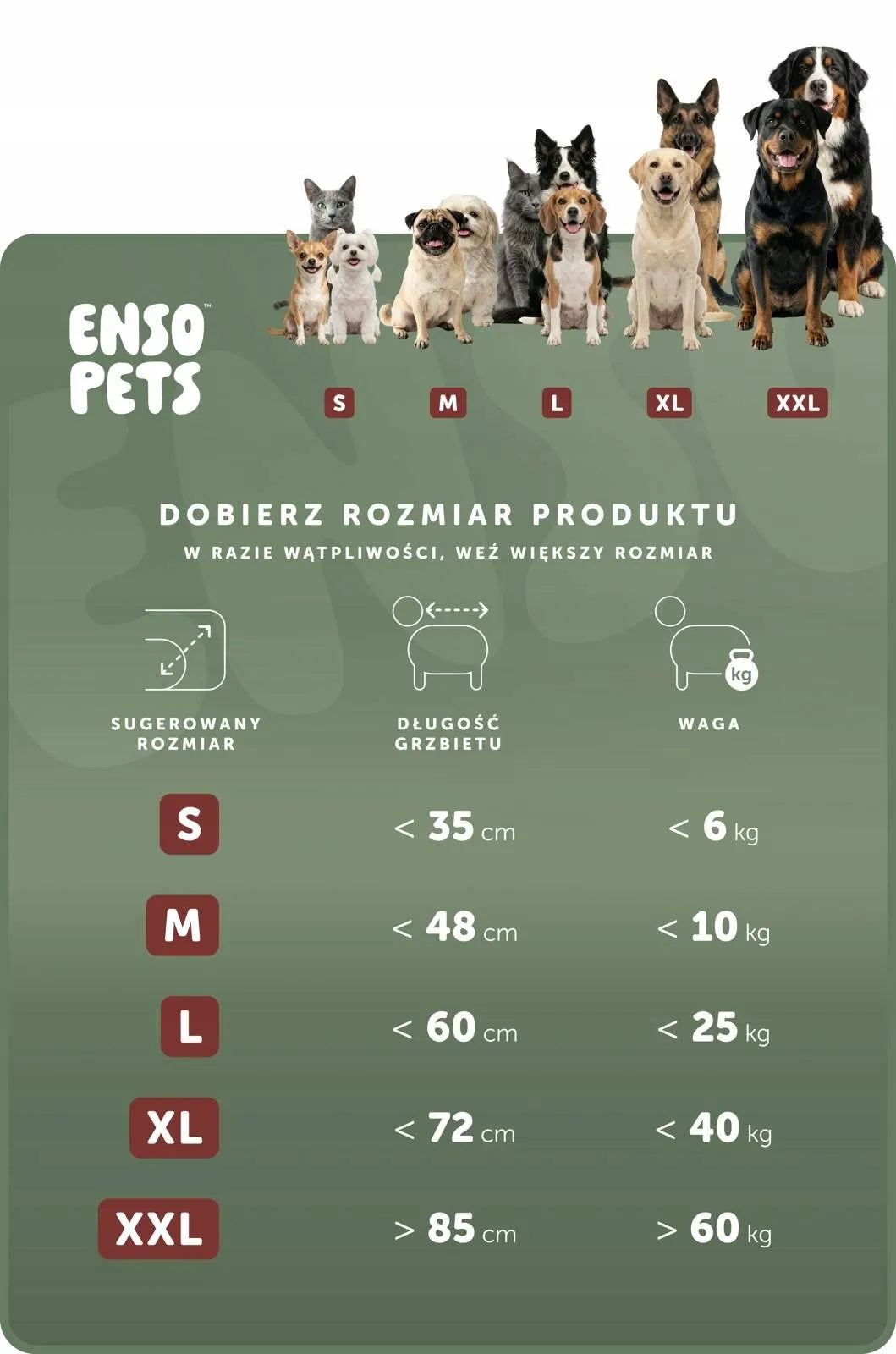 Ortopedinė šuns guolis cocker spaniel veislės šunims L dydis čiužinys lovelė