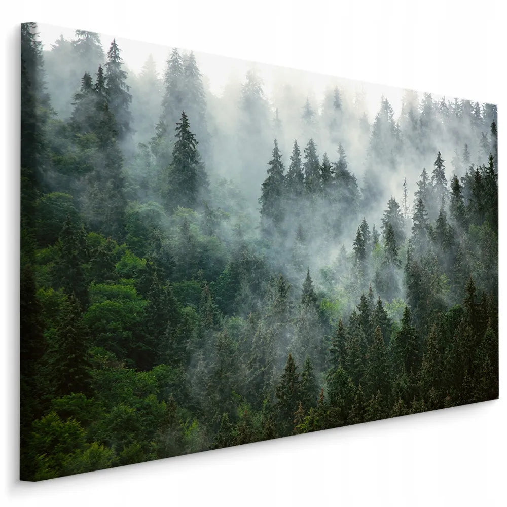 Paveikslas miegamajam ir svetainei „Miškas rūke, kalnai, gamta“ ant drobės, 120 × 80 cm