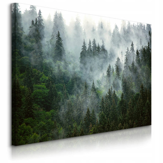 Paveikslas miegamajam ir svetainei „Miškas rūke, kalnai, gamta“ ant drobės, 120 × 80 cm