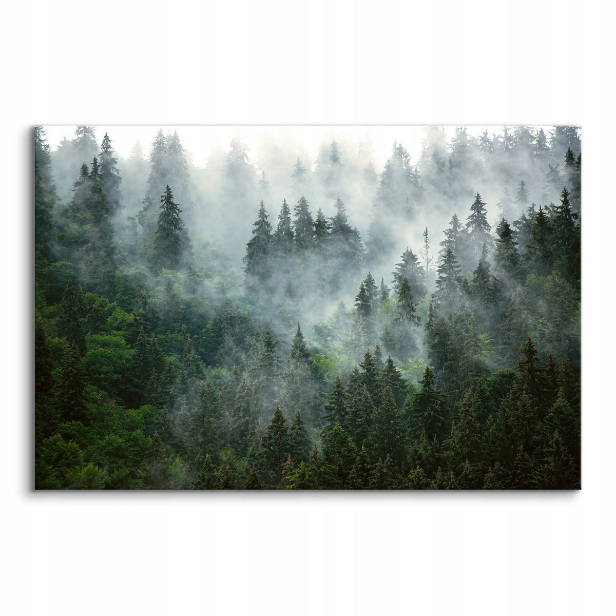 Paveikslas miegamajam ir svetainei „Miškas rūke, kalnai, gamta“ ant drobės, 120 × 80 cm
