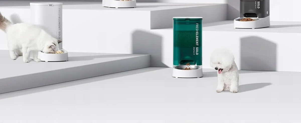 PETKIT išmanusis automatinis ėdalo dozatorius šunims ir katėms 3L su programėle