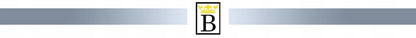 Plati vyriška sidabrinė apyrankė „Pancerka“, deimantuota, 925 praba