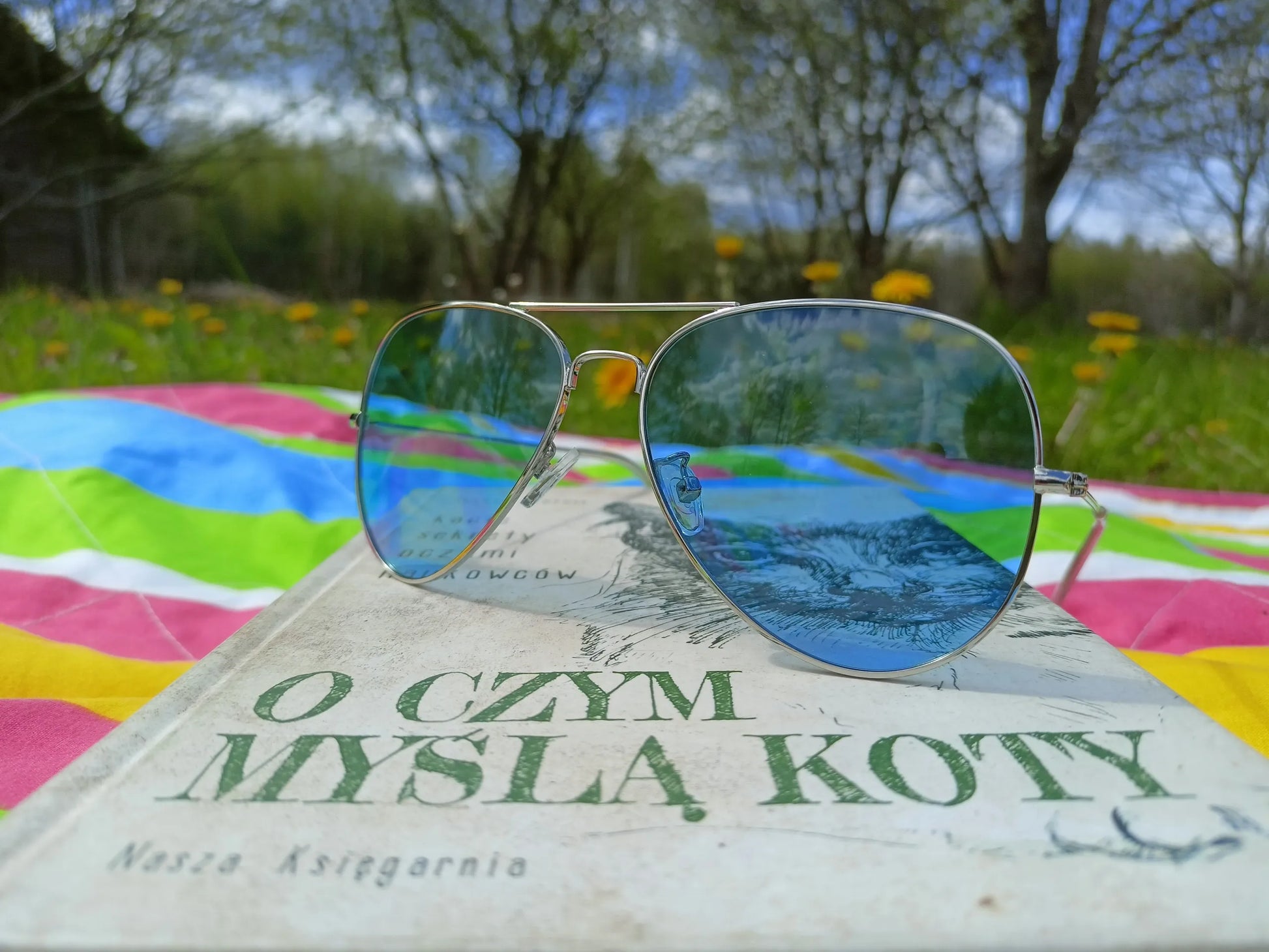 POLARIZUOTI saulės akiniai TOP GUN