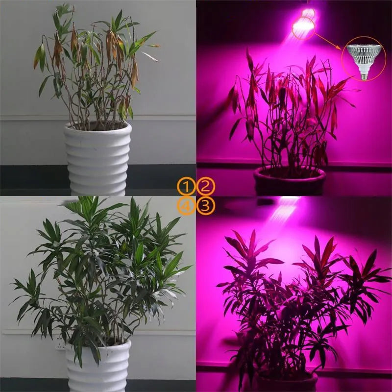 RETOO augalų auginimo lempa, 200 LED LED panelė su spaustuku, 20 W, E27, lanksti
