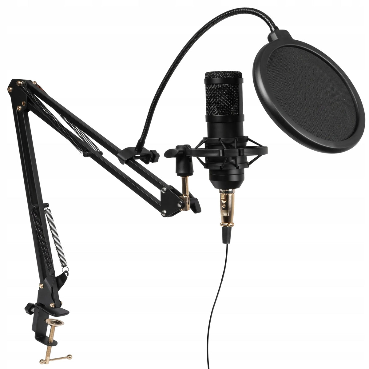 RETOO ER1189 kondensatorinis studijinis USB mikrofonas su stovu ir pop filtru