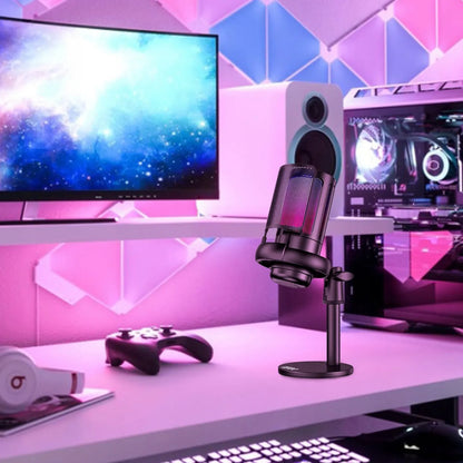 RETOO ER1190 USB kondensatorinis žaidimų mikrofonas kompiuteriui su pop filtru ir nutildymo funkcija
