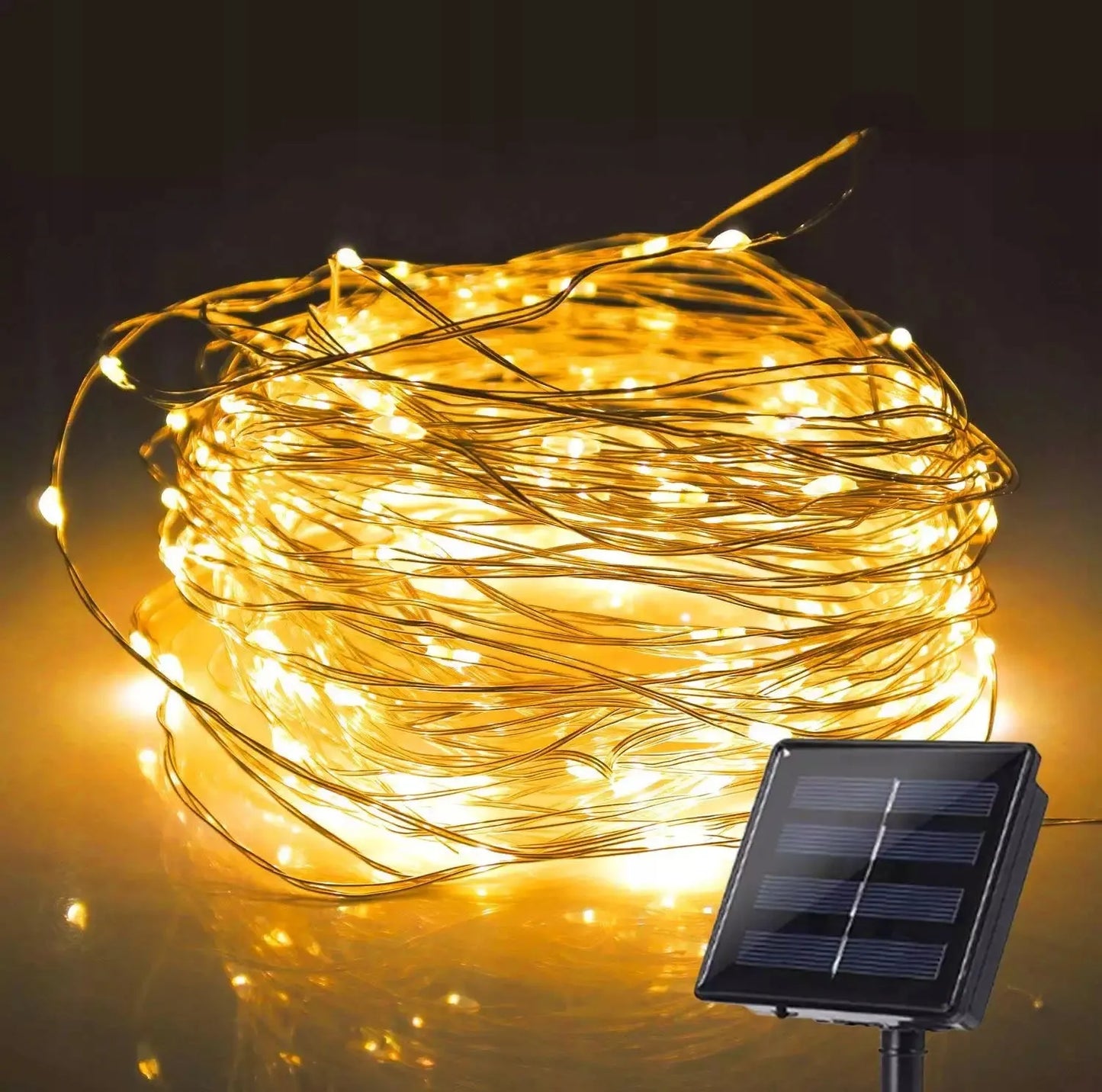 Saulės energija maitinama girlianda POLIFACH 100 LED sodo lempučių šviečianti virvelė P-802