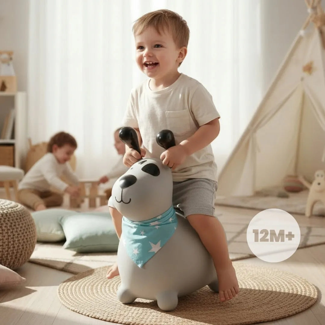 „Sun Baby“ guminis šokliukas vaikams „REKSIO“ su pompa ir bandana, pilkas