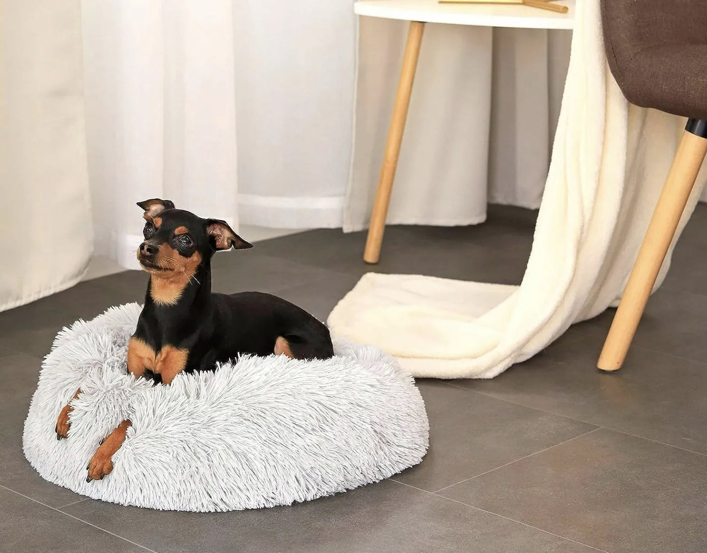 Šunų ir kačių gultas „Shaggy“ 60 cm – pliušinis, neslystantis, patogus