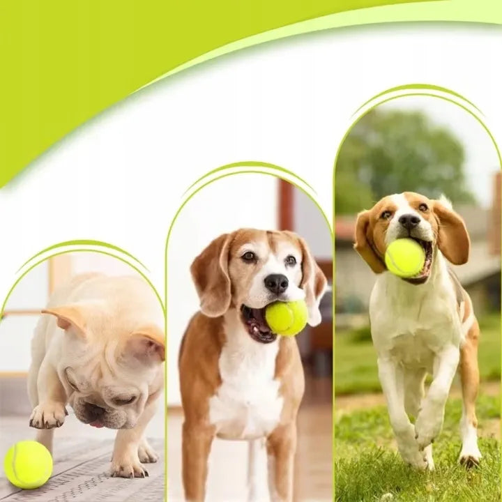 SUPVOX automatinis interaktyvus kamuoliukų mėtytuvas šunims
