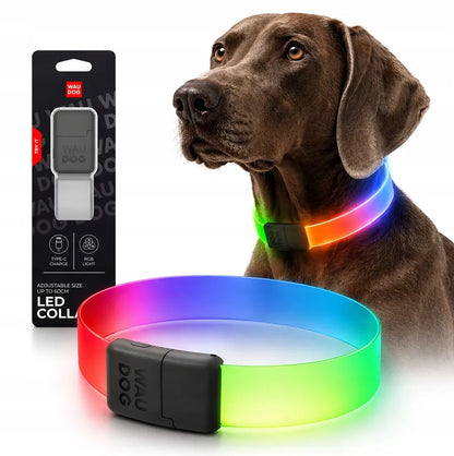 Šviečiantis šuns antkaklis WAUDOG LED RGB, reguliuojamas, iki 60 cm