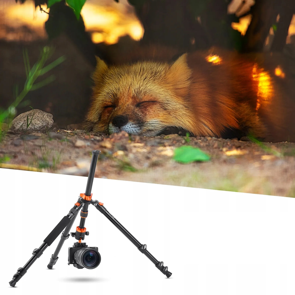 TRIKOJO STOVAS FOTOAPARATUI K&F CONCEPT SA254M2 MONOPODAS 175CM GALVUTĖ 10kg