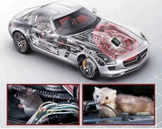 Ultragarso įrenginys nuo graužikų, pelių ir kiaunių, USB 12V automobiliui