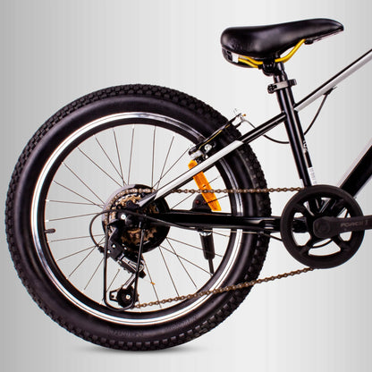 Vaikiškas 20 colių dviratis berniukams su 6 Shimano pavaromis ir amortizatoriumi Verdant
