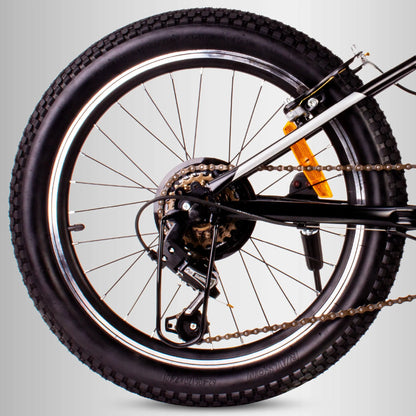Vaikiškas 20 colių dviratis berniukams su 6 Shimano pavaromis ir amortizatoriumi Verdant