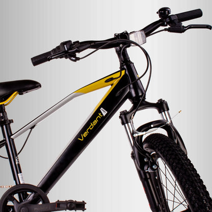 Vaikiškas 20 colių dviratis berniukams su 6 Shimano pavaromis ir amortizatoriumi Verdant
